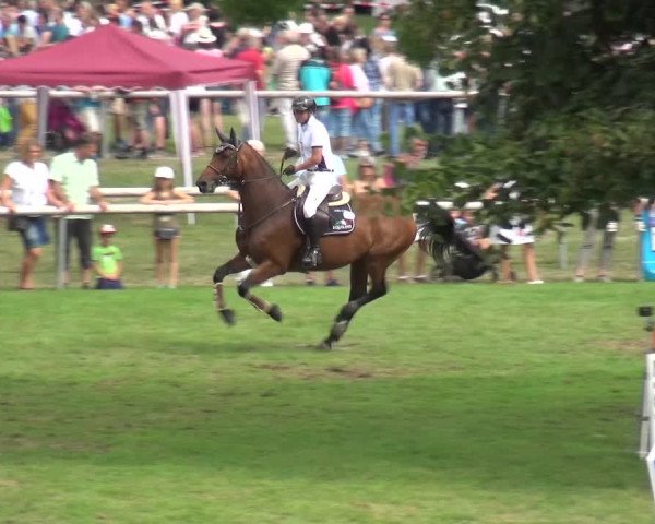 Reitturnier Bietigheim-Bissingen 2019