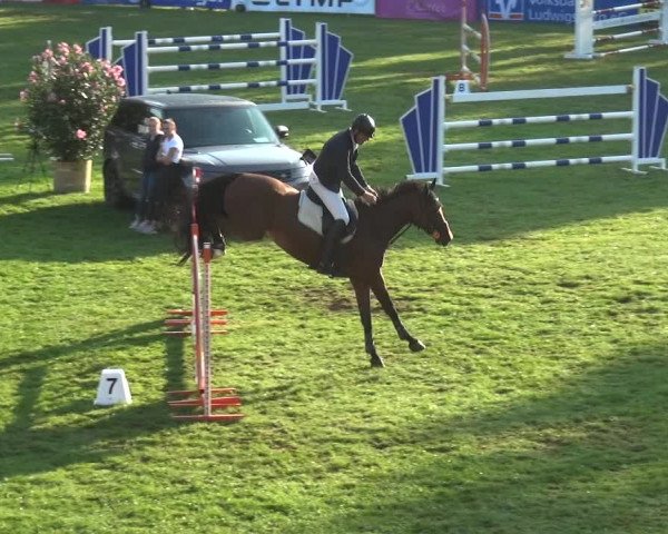 Reitturnier Bietigheim-Bissingen 2019