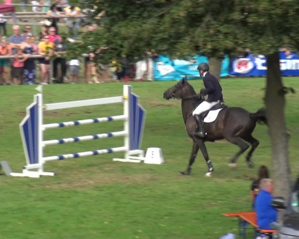 Reitturnier Bietigheim-Bissingen 2019