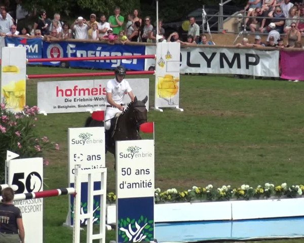 Reitturnier Bietigheim-Bissingen 2019