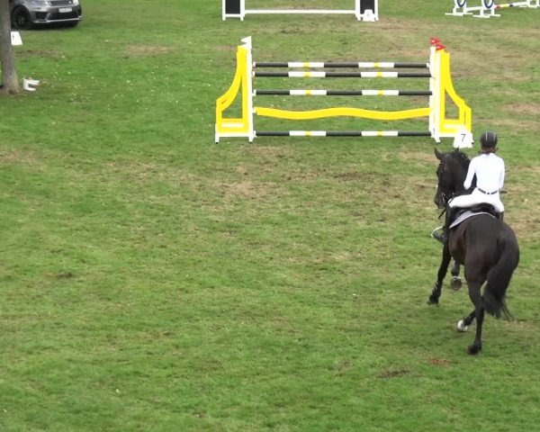 Reitturnier Bietigheim-Bissingen 2019