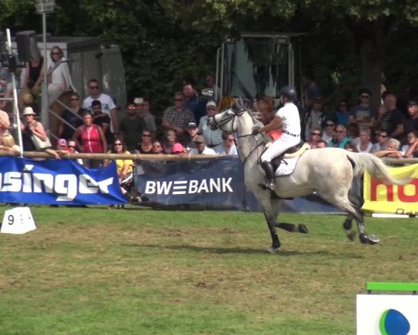 Reitturnier Bietigheim-Bissingen 2019