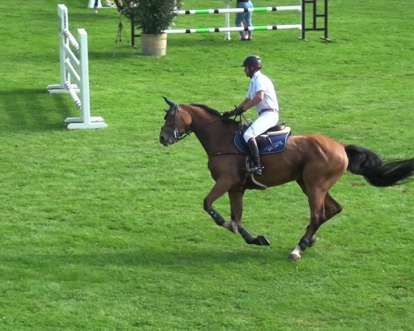 Reitturnier Bietigheim-Bissingen 2019