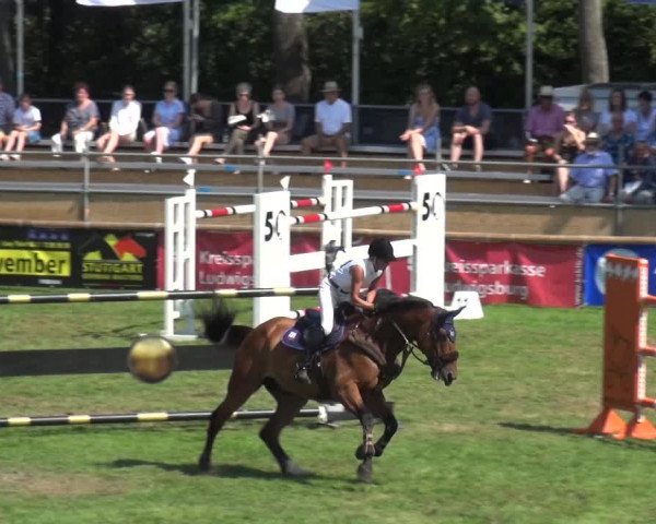 Reitturnier Bietigheim-Bissingen 2019