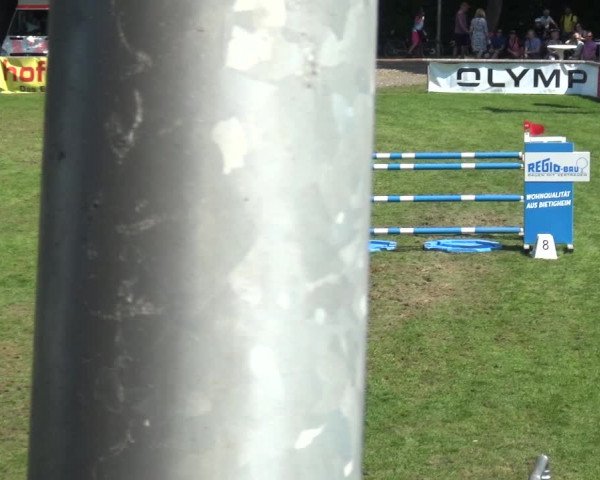 Reitturnier Bietigheim-Bissingen 2019