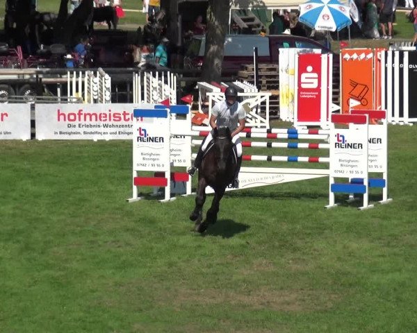 Reitturnier Bietigheim-Bissingen 2019