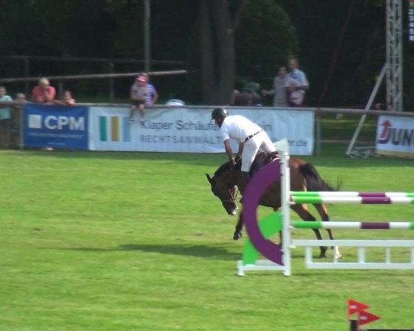 Reitturnier Bietigheim-Bissingen 2019