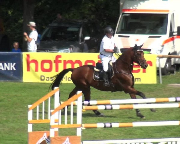 Reitturnier Bietigheim-Bissingen 2019
