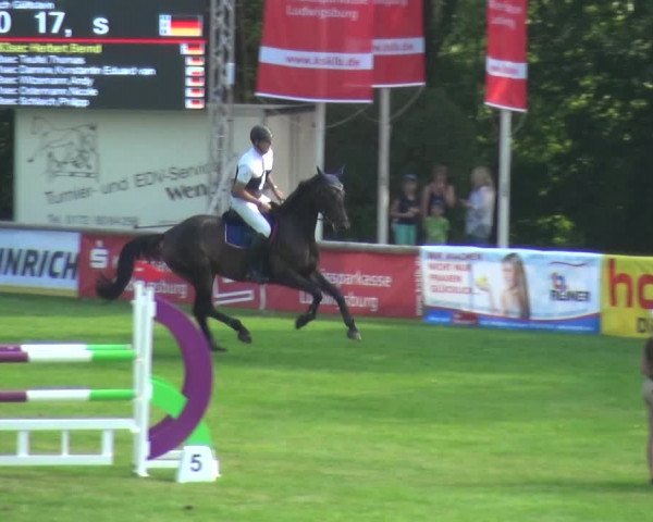 Reitturnier Bietigheim-Bissingen 2019