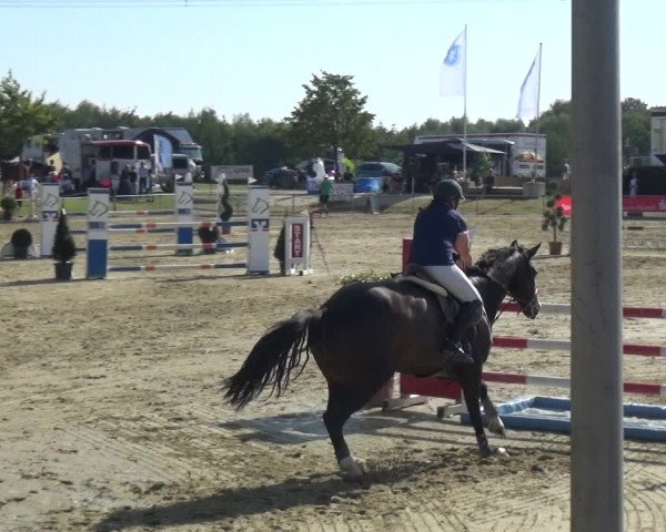 Reitturnier Heinsberg 2019