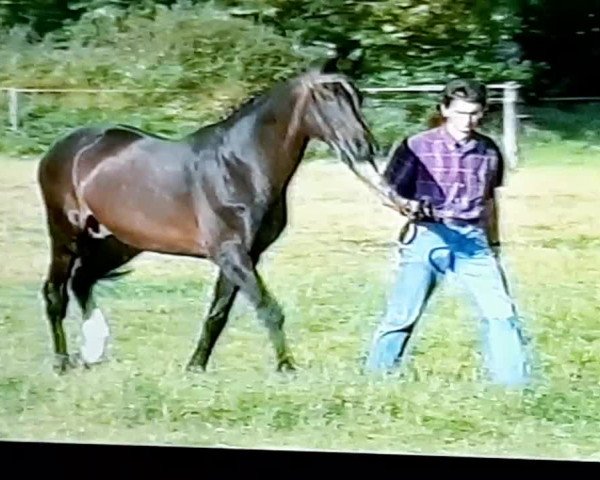 Video von Cor de la Bryère