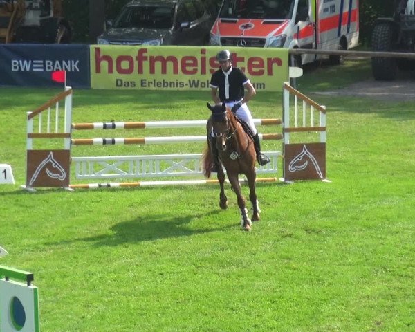 Reitturnier Bietigheim-Bissingen 2019
