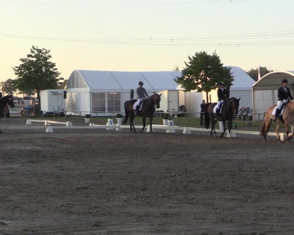 Reitturnier Heinsberg 2019