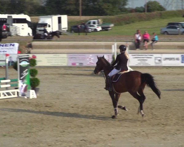 Reitturnier Heinsberg 2019