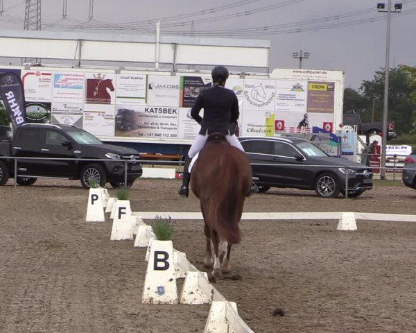 Reitturnier Heinsberg 2019