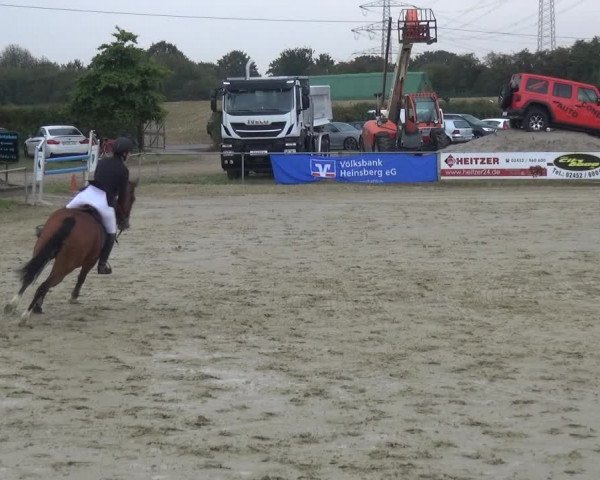 Reitturnier Heinsberg 2019