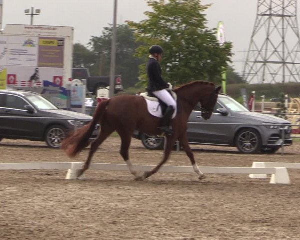 Reitturnier Heinsberg 2019