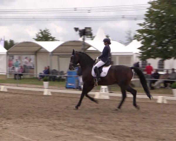 Reitturnier Heinsberg 2019