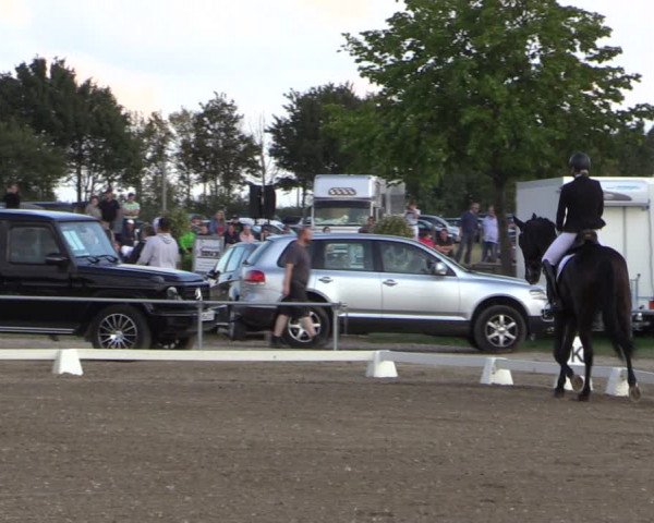 Reitturnier Heinsberg 2019