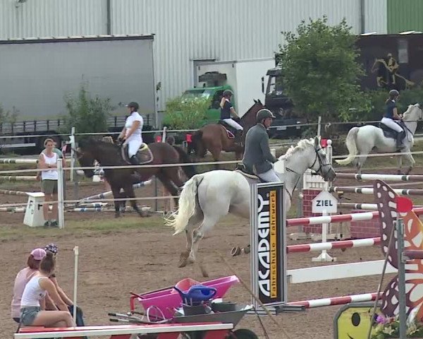 Reitturnier Demantsfürth/Mfr. 2019