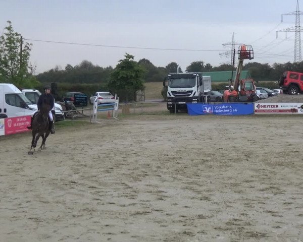 Reitturnier Heinsberg 2019