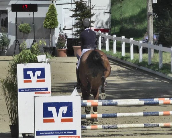 Reitturnier Hauerz 2019