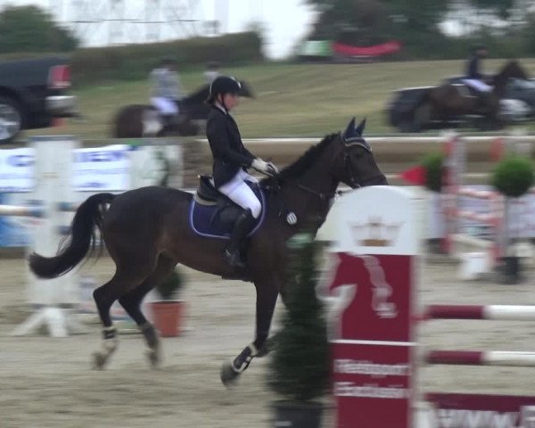 Reitturnier Heinsberg 2019