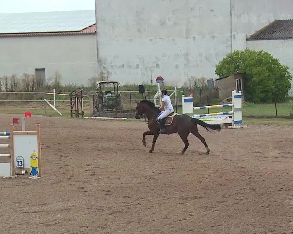 Reitturnier Demantsfürth/Mfr. 2019