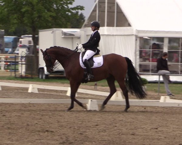 Reitturnier Heinsberg 2019