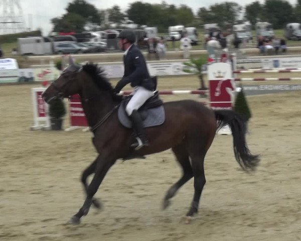Reitturnier Heinsberg 2019