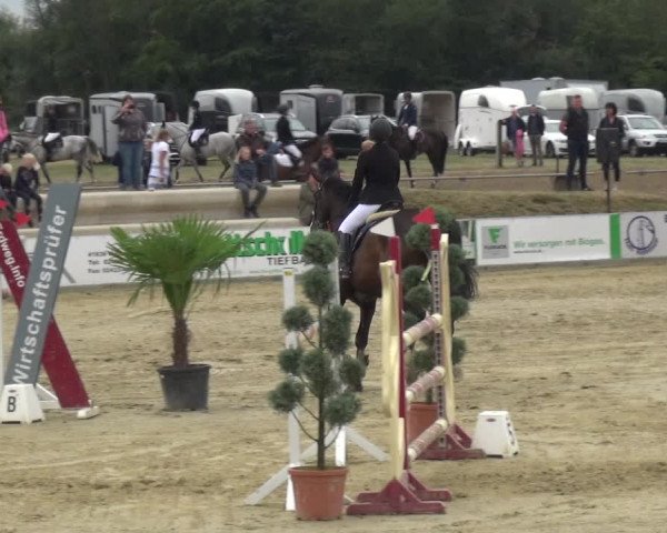 Reitturnier Heinsberg 2019