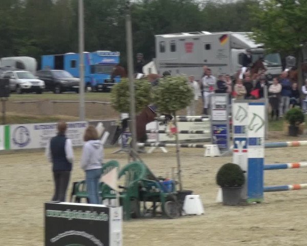 Reitturnier Heinsberg 2019