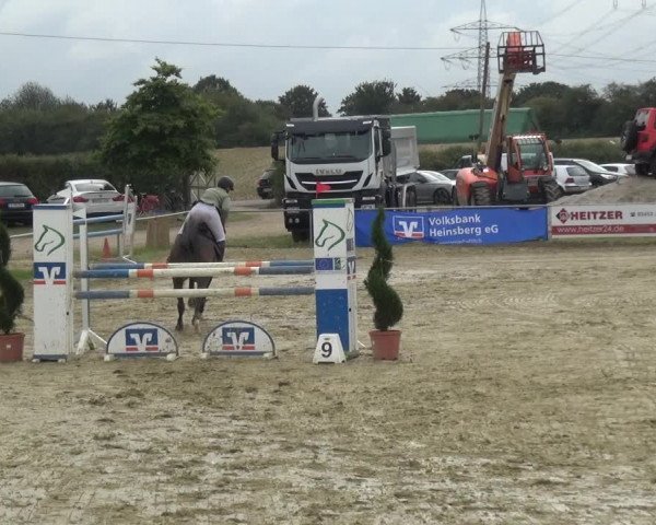 Reitturnier Heinsberg 2019