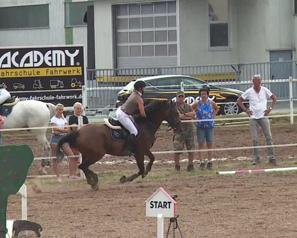 Reitturnier Demantsfürth/Mfr. 2019