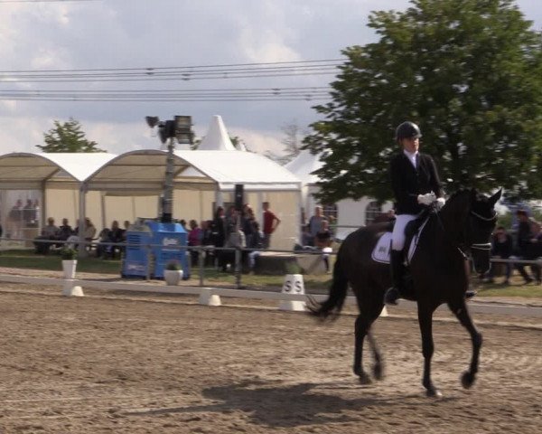Reitturnier Heinsberg 2019