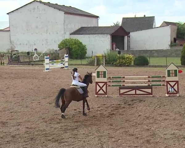 Reitturnier Demantsfürth/Mfr. 2019