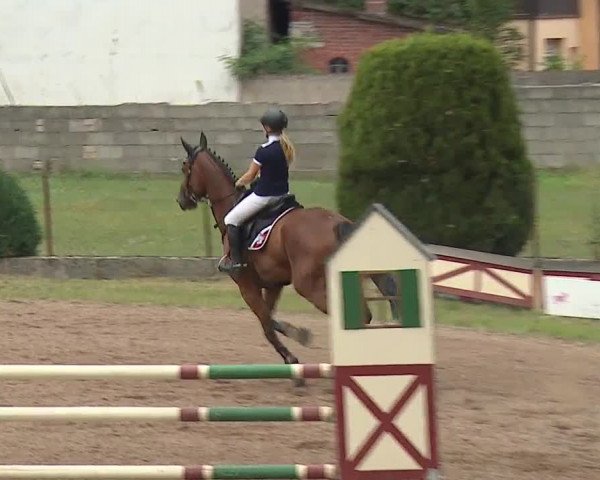 Reitturnier Demantsfürth/Mfr. 2019
