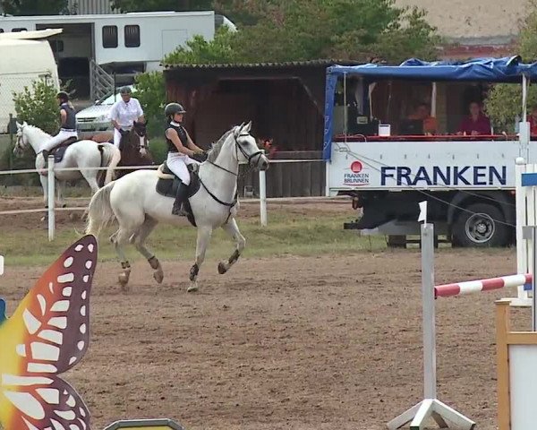 Reitturnier Demantsfürth/Mfr. 2019