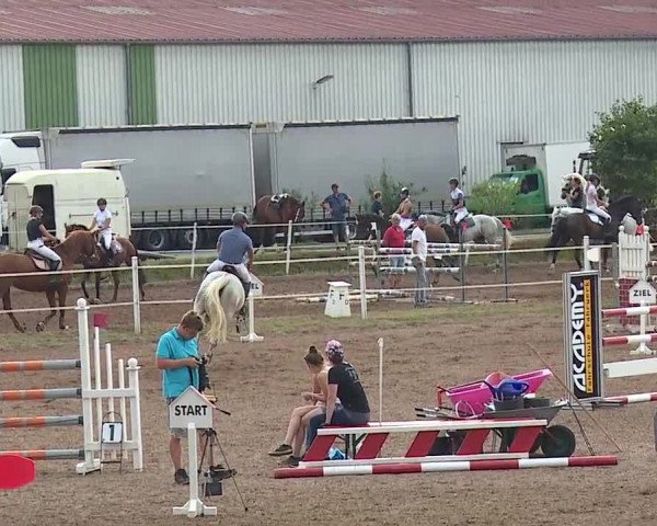 Reitturnier Demantsfürth/Mfr. 2019