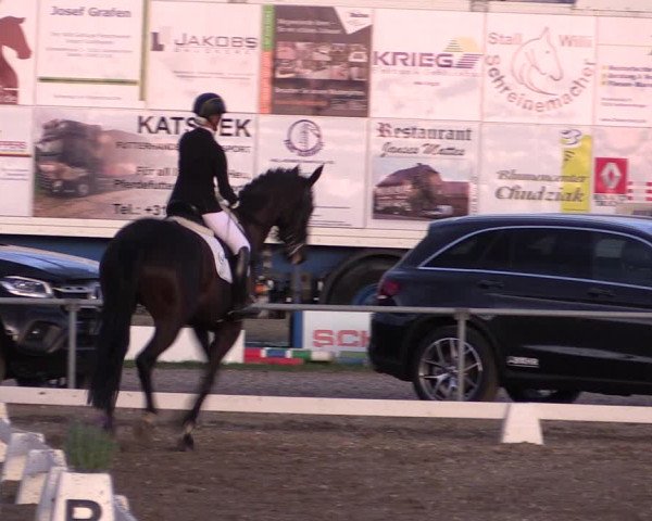 Reitturnier Heinsberg 2019