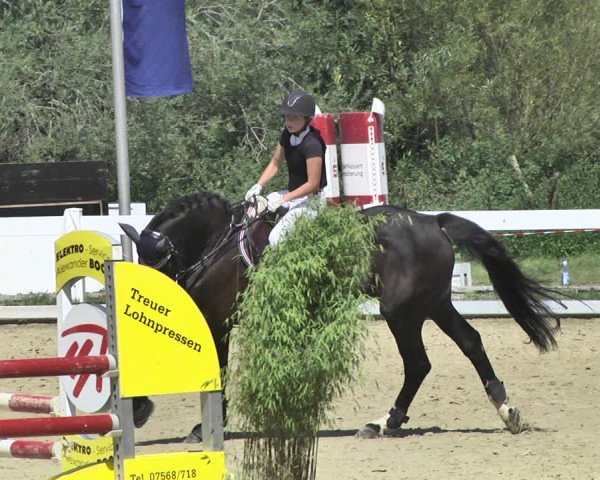 Reitturnier Hauerz 2019