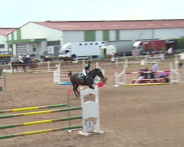 Reitturnier Demantsfürth/Mfr. 2019