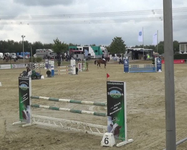 Reitturnier Heinsberg 2019