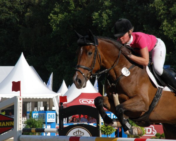 jumper Clindrigo (Holsteiner, 2011, from Clinton I)