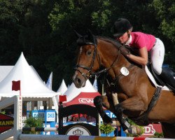 jumper Clindrigo (Holsteiner, 2011, from Clinton I)