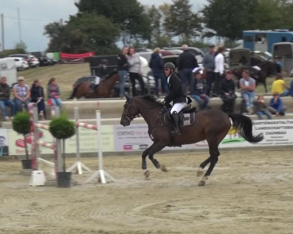 Reitturnier Heinsberg 2019