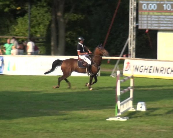Reitturnier Bietigheim-Bissingen 2019