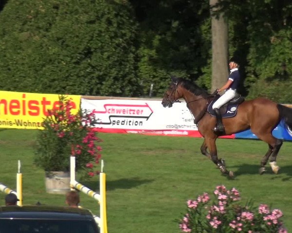 Reitturnier Bietigheim-Bissingen 2019