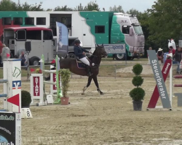Reitturnier Heinsberg 2019