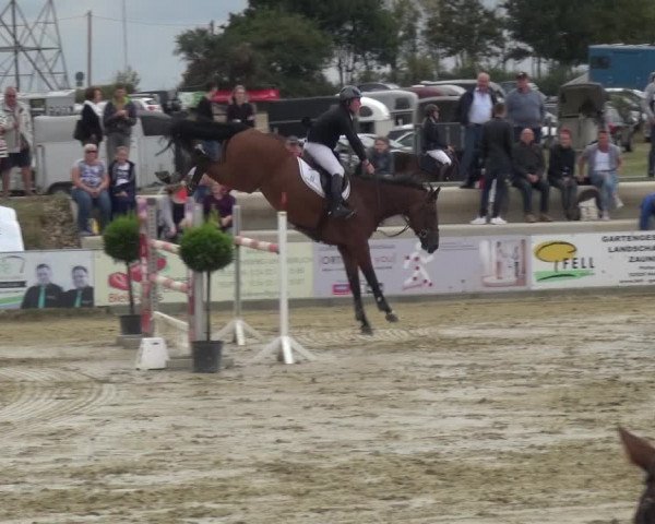 Reitturnier Heinsberg 2019